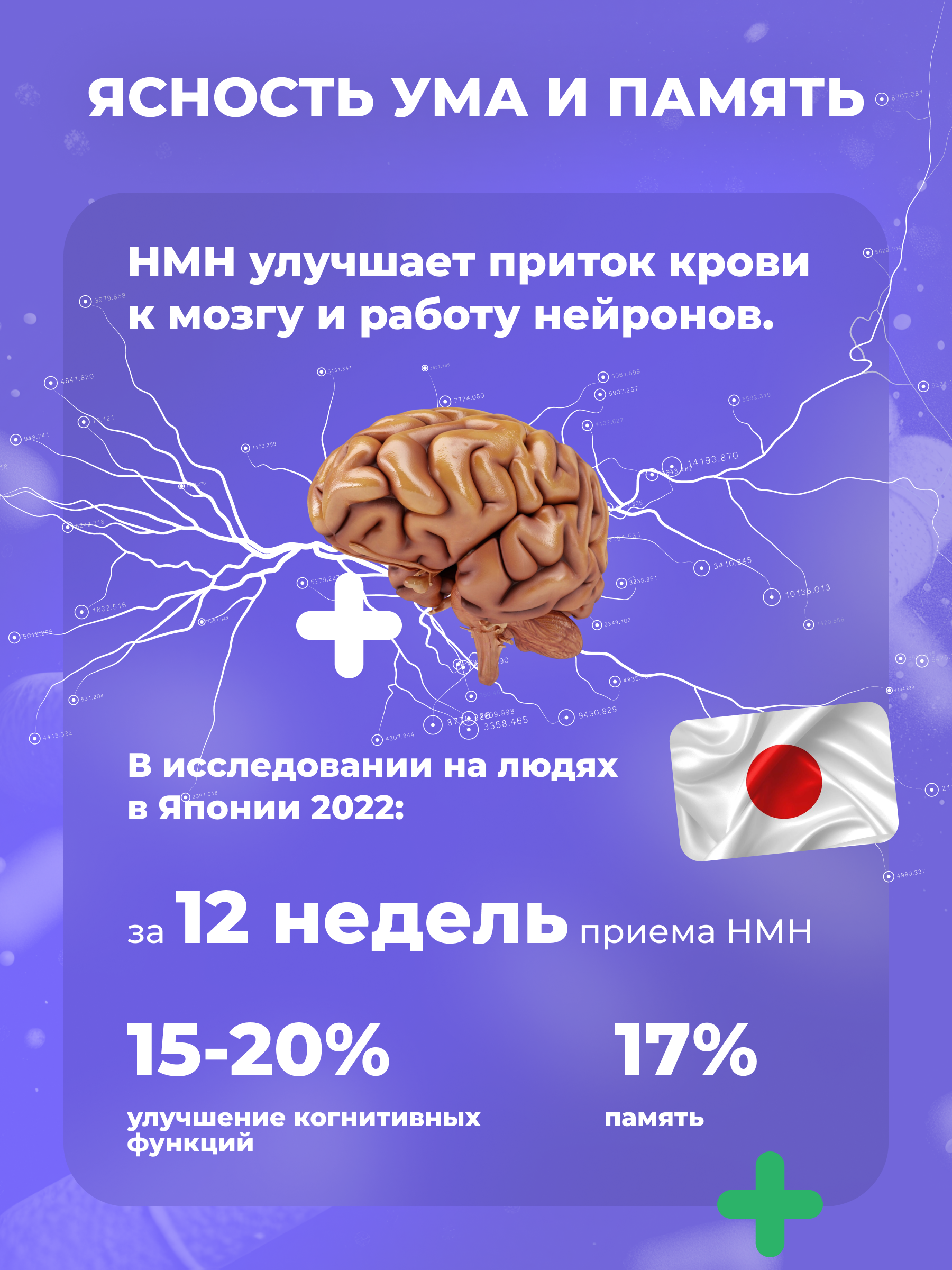 НМН Эксперт 18000 by Stabizym 